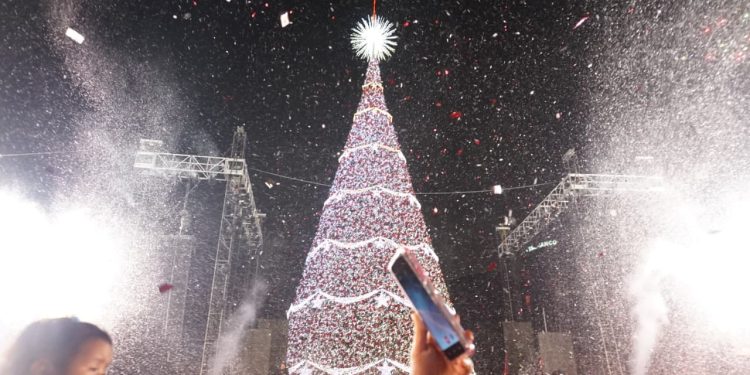 Festival Árbol Gallo se inaugura en el Obelisco