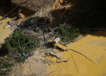 IPE: Al menos 13 mil Reinfo operaban en zonas restringidas | Minería ilegal | ECONOMÍA