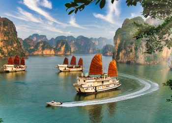 Vietnam ha lanzado su visa de talento de 5 años: aquí está quién es elegible