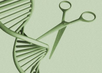 ¿Puede una terapia génica única reducir el colesterol?