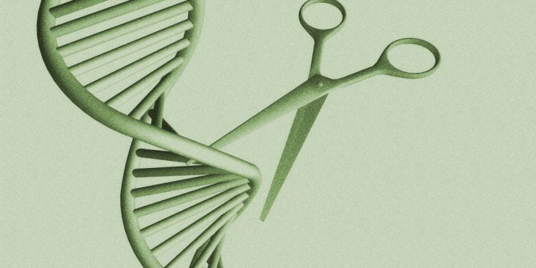 ¿Puede una terapia génica única reducir el colesterol?