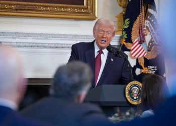 Lo que la Generación Alfa quiere del próximo presidente