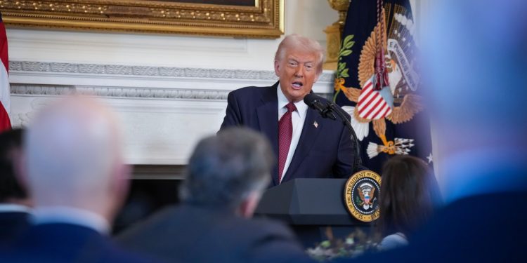 Lo que la Generación Alfa quiere del próximo presidente