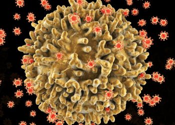 Lograr una remisión duradera del VIH