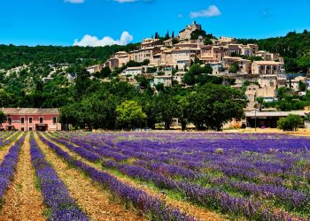 Baso mis viajes en torno al perfume: aquí hay 7 ciudades para visitar para una inmersión olfativa