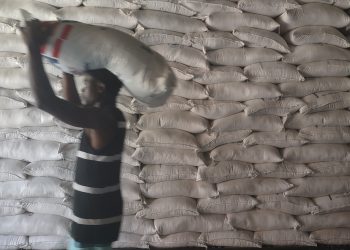 Cómo los recortes de fondos de la era Trump ponen en peligro los esfuerzos para empoderar a los agricultores de Haití | Noticias de comida