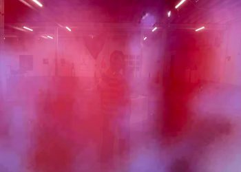 Todos somos rosados ​​por dentro