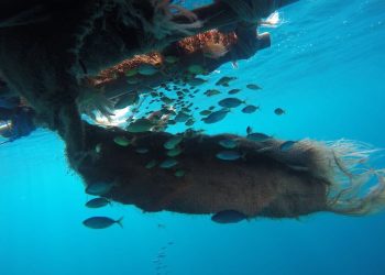 Una industria con propósito: el desafío de producir sin afectar la salud de los océanos | Ecuador | Noticias