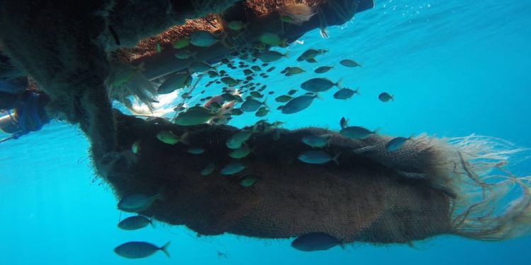 Una industria con propósito: el desafío de producir sin afectar la salud de los océanos | Ecuador | Noticias