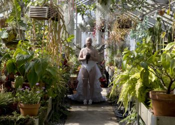 Por qué me uní a los artistas detrás de Fall of Freedom