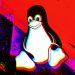 Fallo de alta gravedad en Linux ahora explotado por bandas de ransomware