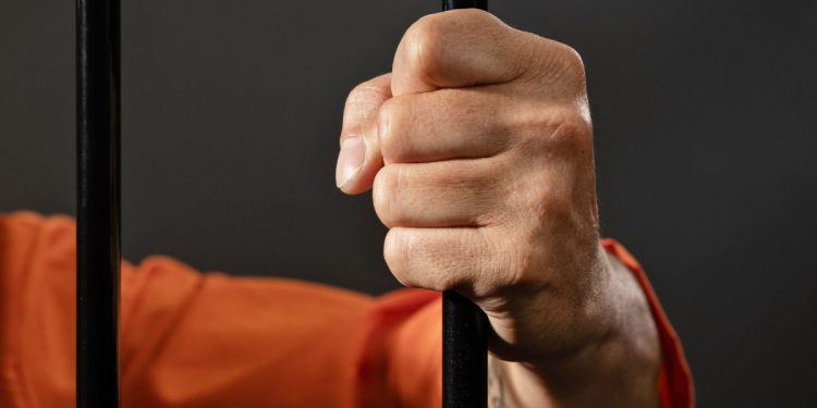 Liberan a Patricia, la madre ecuatoriana detenida en redada de la Patrulla Fronteriza en Chicago