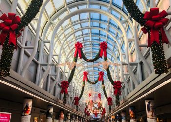 Encuesta: A muchos estadounidenses les preocupa que los viajes después del cierre cancelen o cambien sus planes de vacaciones