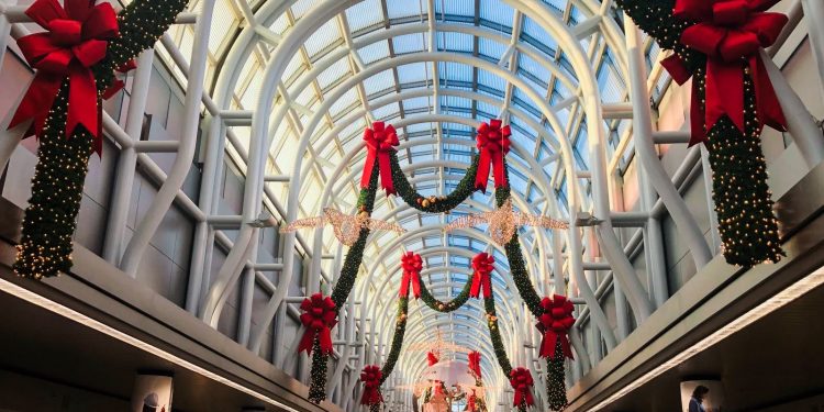 Encuesta: A muchos estadounidenses les preocupa que los viajes después del cierre cancelen o cambien sus planes de vacaciones