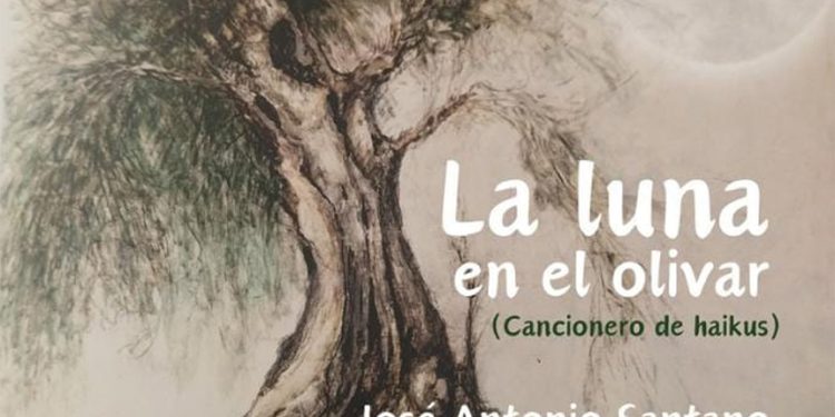 «La luna en el olivar», de José Antonio Santano