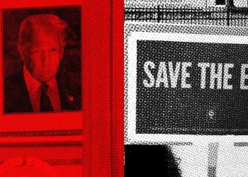 La EPA está sumida en el caos