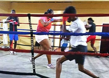 Competencia de desarrollo de GBA programada para el sábado