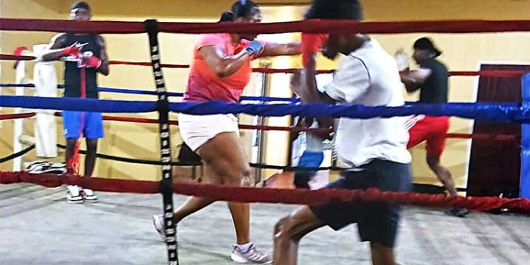 Competencia de desarrollo de GBA programada para el sábado