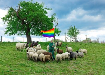 Ovejas gay hacen su debut en la alta costura en Nueva York