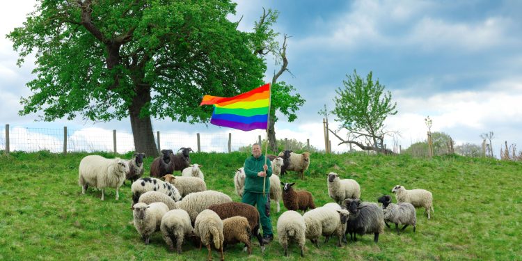 Ovejas gay hacen su debut en la alta costura en Nueva York