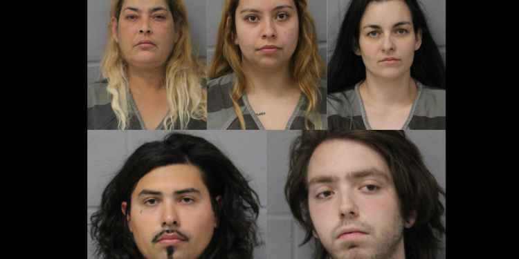 Cinco personas acusadas de encarcelar y torturar a una amiga semidesnuda con una pistola de aire comprimido porque «ya no les agradaba»