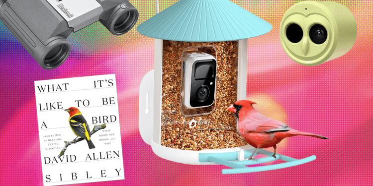 Los 19 mejores regalos probados para los amantes de las aves (2025)