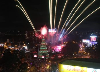 Qué significa la lema del Festival Árbol Gallo 2025