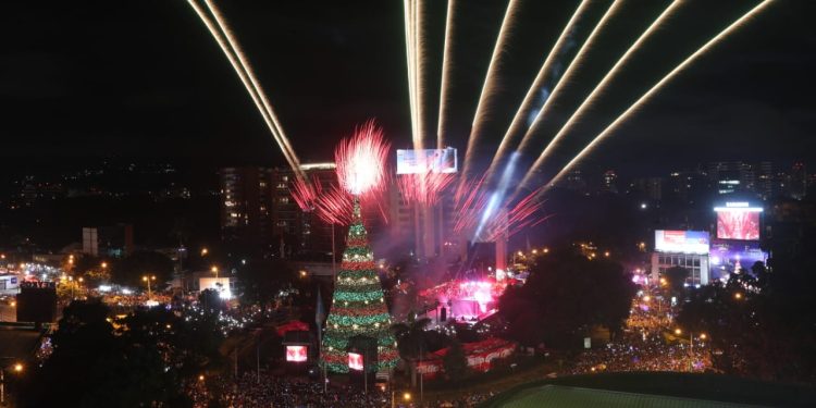 Qué significa la lema del Festival Árbol Gallo 2025