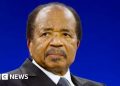 Paul Biya juró su octavo mandato como presidente de Camerún