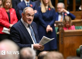 Ed Davey quiere «trabajar con el gobierno» en la reforma electoral