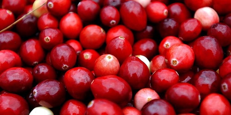 Qué significa el cambio climático para su cena de Acción de Gracias