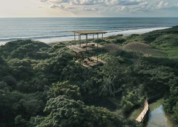 Impulsado conscientemente: en conversación con VOID, el estudio costarricense que da forma a la arquitectura regenerativa
