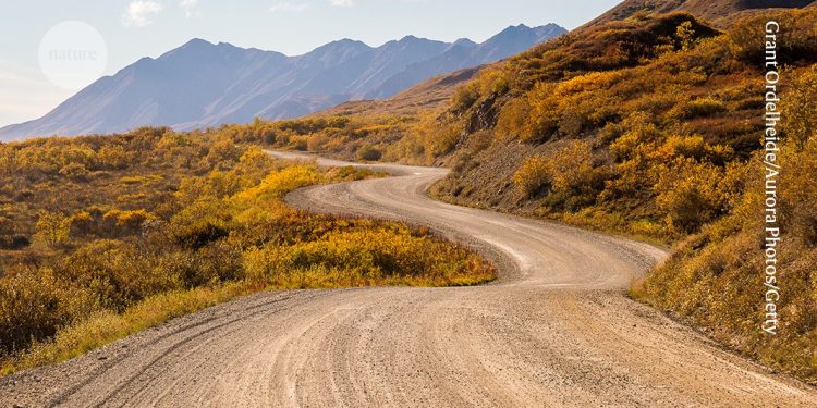 Lecciones de un largo camino hacia un artículo del primer autor