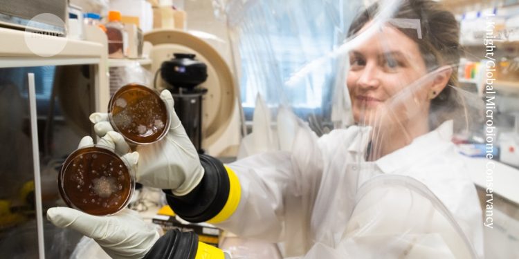 Cómo los investigadores aprovechan el pipí y la caca para la ciencia