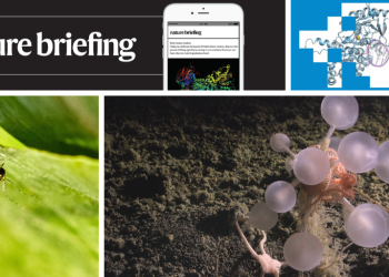 Cómo la ruptura del tratado sobre plásticos podría allanar el camino para algo mejor