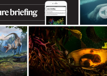 Maravillas de la vida silvestre y un Super Heavy: las mejores imágenes científicas del mes