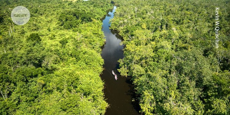 Para una acción climática real, empoderar a las mujeres