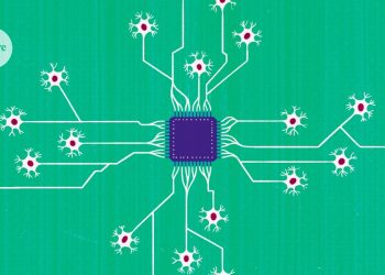 Las computadoras que funcionan con células cerebrales humanas