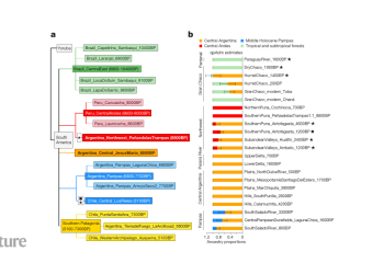 Un linaje genético humano distintivo persistió en el centro de Argentina durante 8.500 años