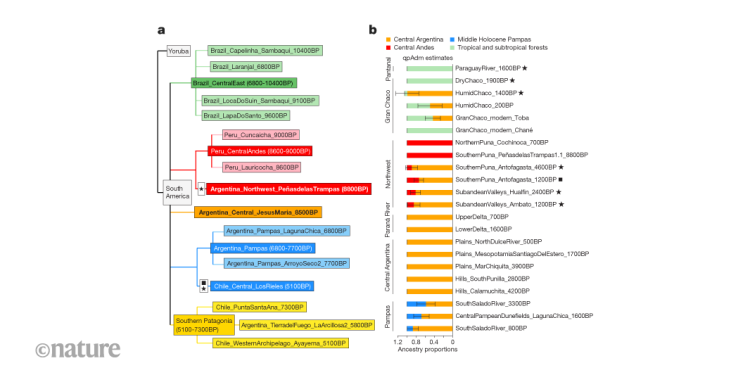 Un linaje genético humano distintivo persistió en el centro de Argentina durante 8.500 años