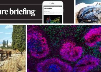 Un 'Google Maps' para las calzadas romanas