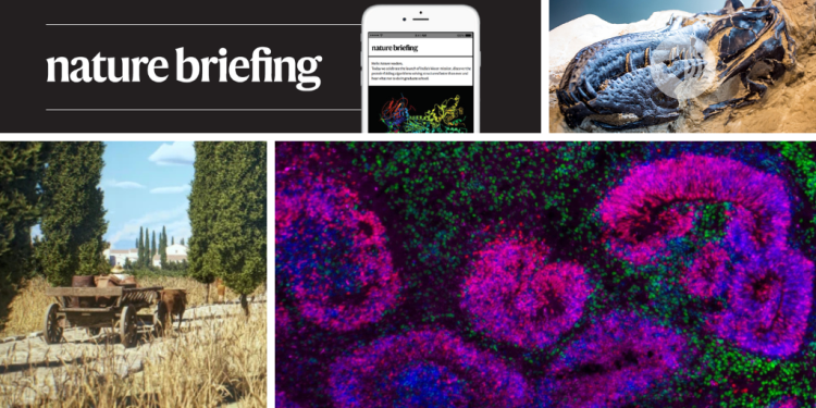 Un 'Google Maps' para las calzadas romanas