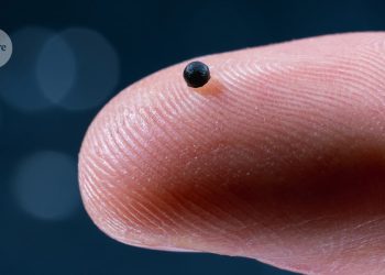 Pequeños robots nadan a través de la sangre, administran medicamentos y luego se disuelven