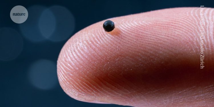 Pequeños robots nadan a través de la sangre, administran medicamentos y luego se disuelven