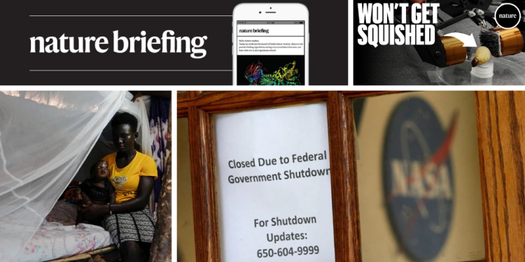 Las emisiones de gases de efecto invernadero deberían alcanzar su punto máximo en 2030, dicen los investigadores