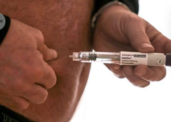 Cómo los medicamentos para la obesidad silencian el «ruido de la comida» en el cerebro