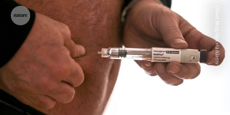 Cómo los medicamentos para la obesidad silencian el «ruido de la comida» en el cerebro