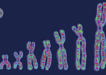 Gran diversidad genética encontrada entre las células de una sola persona.