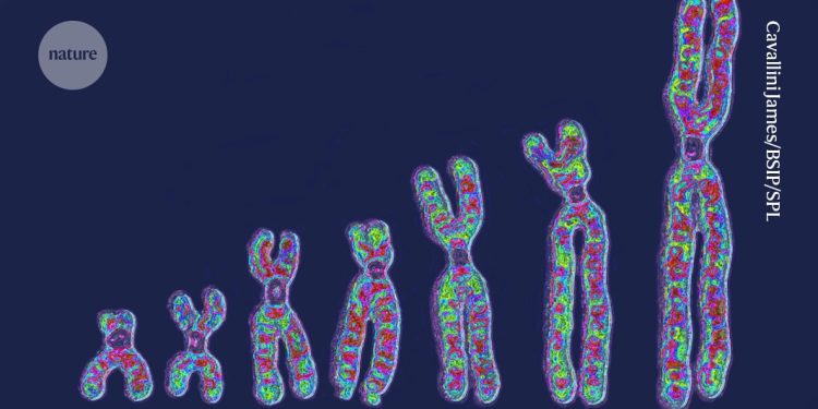 Gran diversidad genética encontrada entre las células de una sola persona.