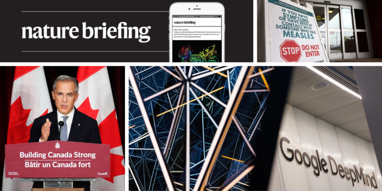 Los besos podrían haber evolucionado hace 21,5 millones de años